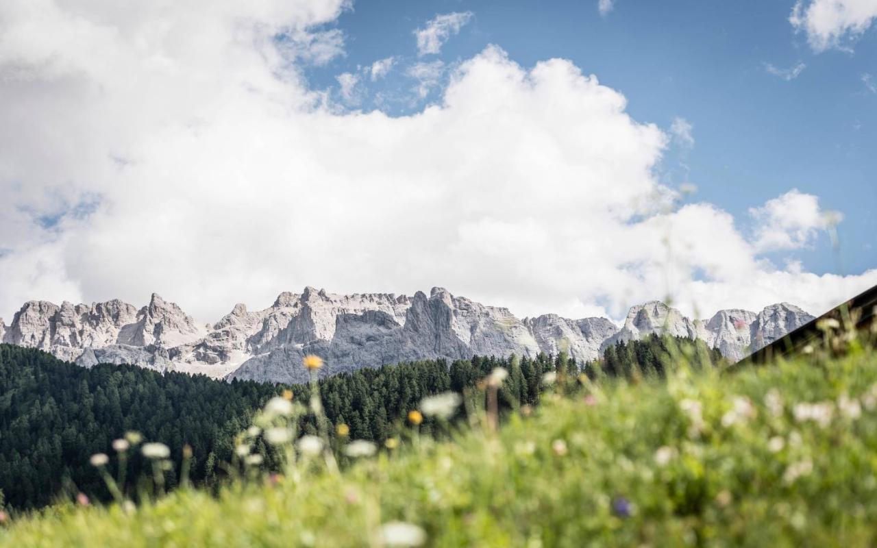 Cadepunt The Dolomites Lodge 셀바디발가르디나 외부 사진