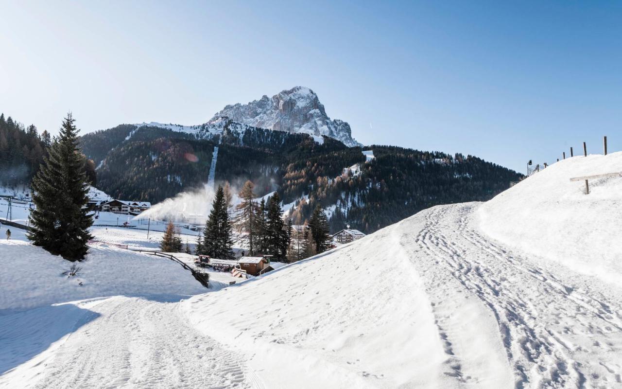 Cadepunt The Dolomites Lodge 셀바디발가르디나 외부 사진